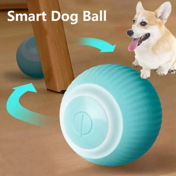 Electric Dog Ball Toys Auto Rolling Smart Dog Toys for Dogs Training Self-Moving Pet Puppy Toys Indoor Interactive Playi Supply