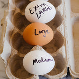CL 5 Dozen Large Fresh Eggs / 60 Ovos Grandes - O Mercadin